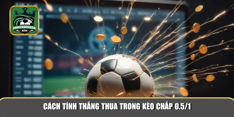 keo chap 0 5 1 2 Quy tắc tính thắng thua khi vào kèo